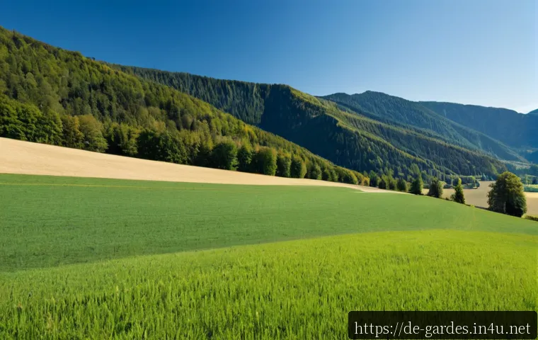 Gartendesigner-Gehalt in Deutschland: Was Berufserfahrung, Region und Selbstständigkeit wirklich verändern 4 원예디자이너 연봉 현실 관련 이미지 2